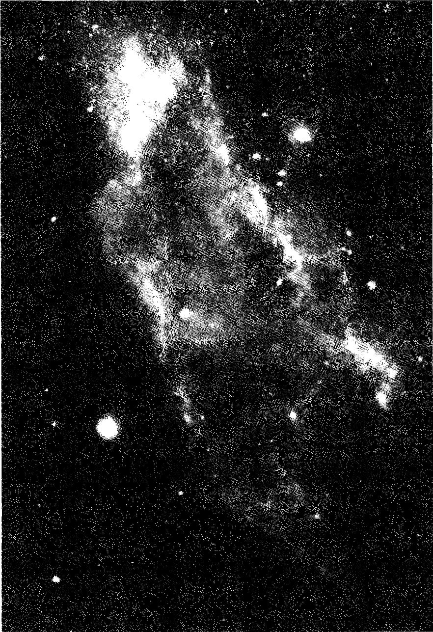 Figure 1.3. The H II region NGC 1499, also known as the California Nebula. The O star which photoionizes the gas, \xi Per, is off the picture to the right, just outside the bright emission nebula. (Photo © UC Regents/Lick Observatory)