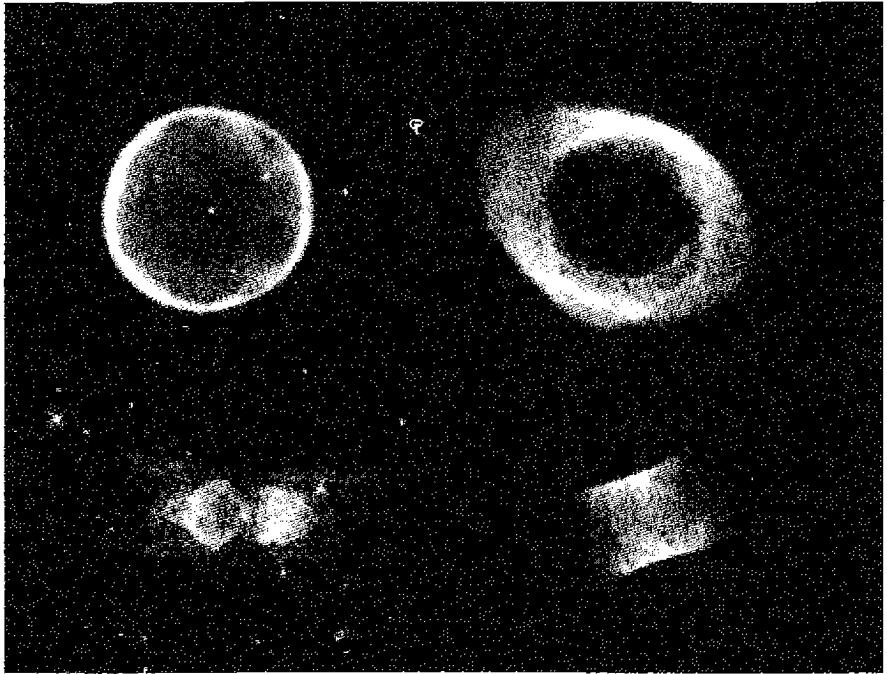 Figure 10.1. Four planetary nebulae, showing the variety of shapes that are found. The upper left is Abell 39 (G. H. Jacoby, WIYN), the upper right is NGC 6720 (NASA & STScI), the lower left is Mz-3 (NASA & STScI), and the lower right is IC 4406 (NASA & STScI). The apparent longer diameters of these four objects in the sky range from 0.'9 (Mz-3 and IC 4406) to 2.'5 (NGC 6720).