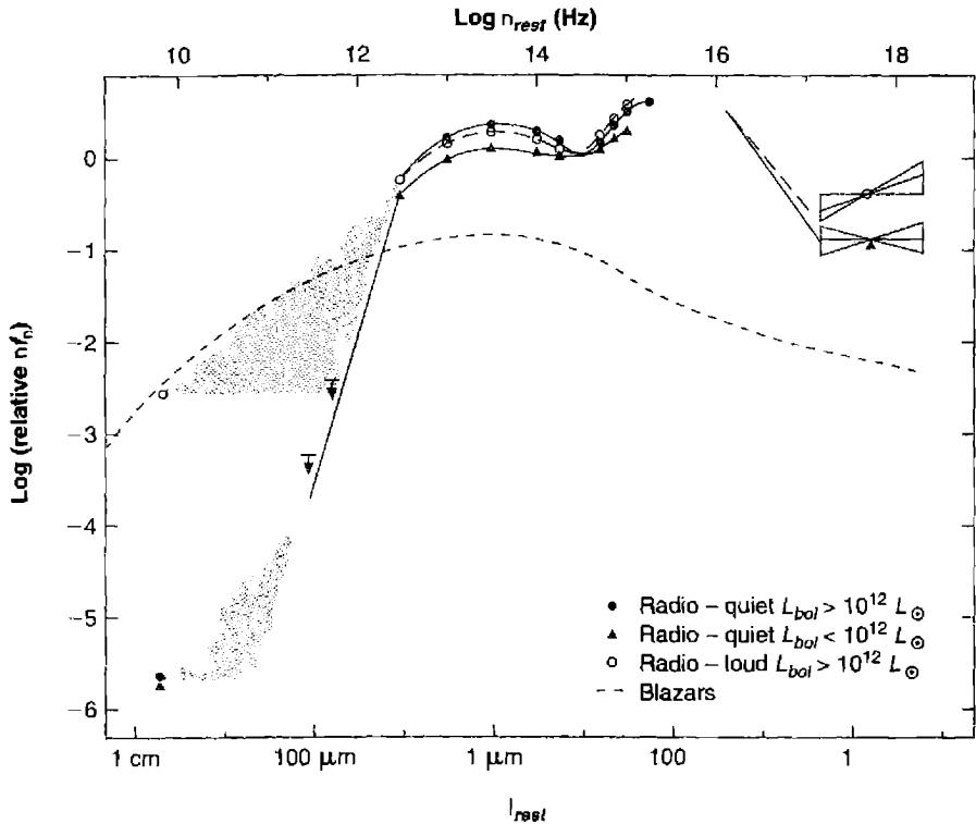 Figure 13.7. Spectral energy distributions for several sets of active nuclei. A horizontal line on this plot corresponds to L_\nu \propto \nu^-1 , and roughly approximates the energy distribution from infrared wavelengths to X-ray energies.