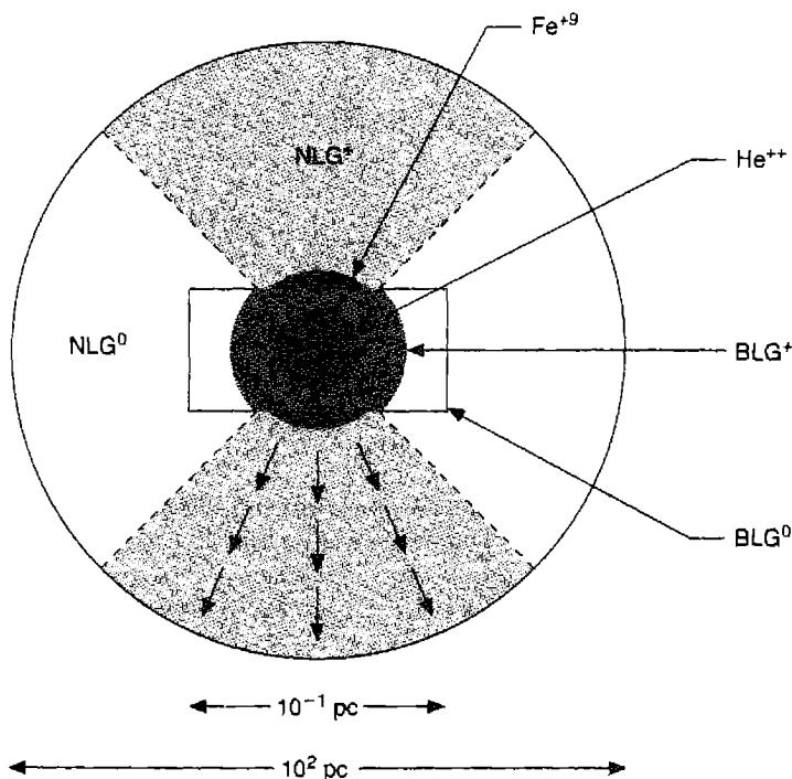 Figure 14.13. Schematic AGN model, showing the central photoionization source as a black-filled circle, broad-line gas (BLG) in a disk ionized near the source and neutral further away, and narrow-line gas in much larger sphere, ionized in the cone in which ionizing photons can penetrate the broad-line gas and escape. Note that the scale is distorted in the interest of legibility.