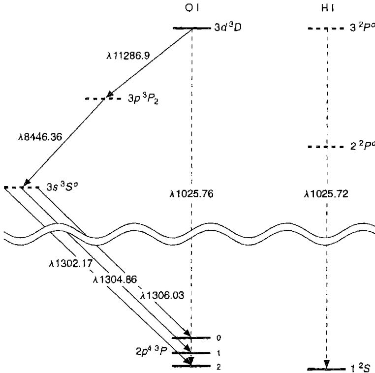 Figure 4.7. Schematized partial energy-level diagrams of O I and H I showing the coincidence between H I Lβ and O I 2p^4\ ^3P_2 - 2p^33d^3D^o_3 λ 1025.76 . The far ultraviolet lines that lead to excitation are indicated by dashed lines, and the cascade lines in the infrared, optical, and ultraviolet are indicated by solid lines.