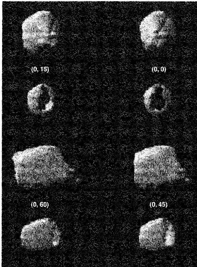 Figure 5.19. The three-dimensional reconstructed geometry of NGC 6565. Each pair of images should be viewed with the left and right eye to see the deduced three-dimensional structure.