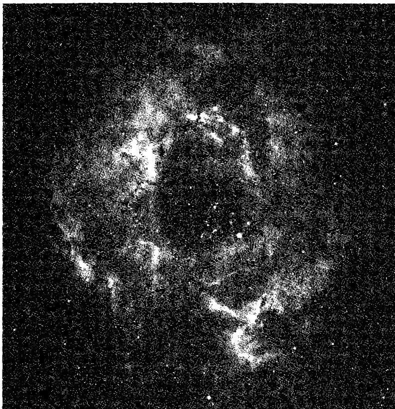 Figure 7.11. NGC 2237, the Rosette Nebula, an H II region in Monoceros, taken in the light of Hα and [N II] . The central hole may have been swept clear of gas by radiation pressure on the dust from the central star cluster. (Photo © UC Regents/Lick Observatory)