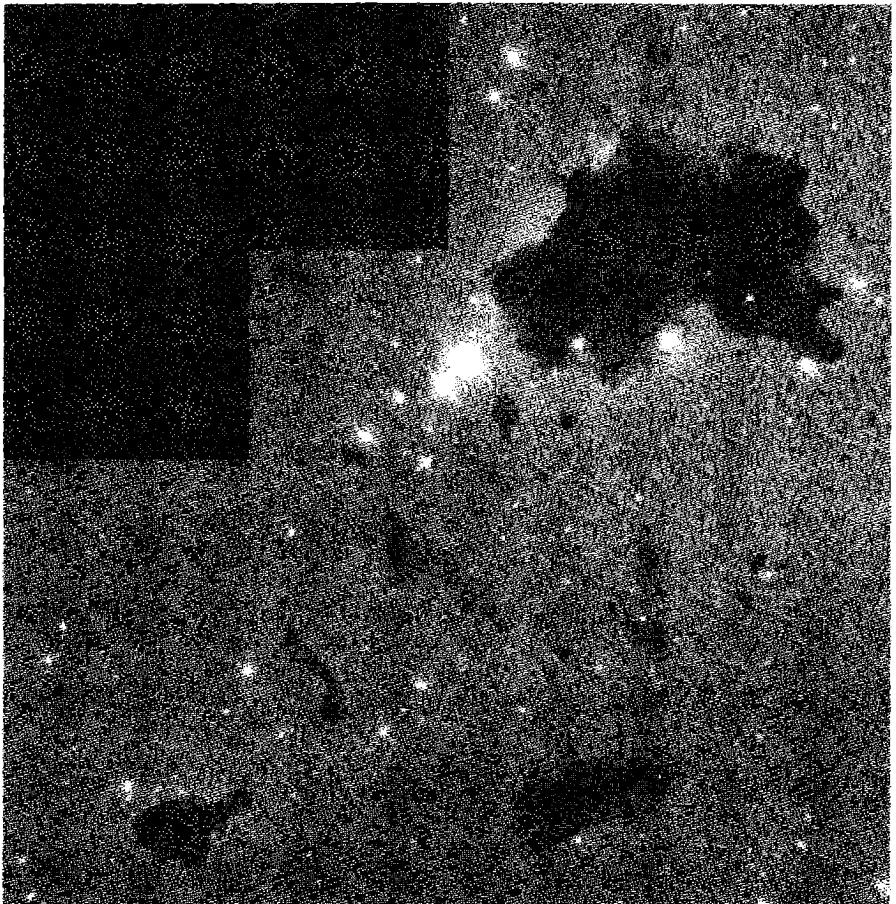 Figure 7.2. Numerous globules, from small to large, in the H II region IC 2944. NASA and The Hubble Heritage Team. (STScI/AURA)