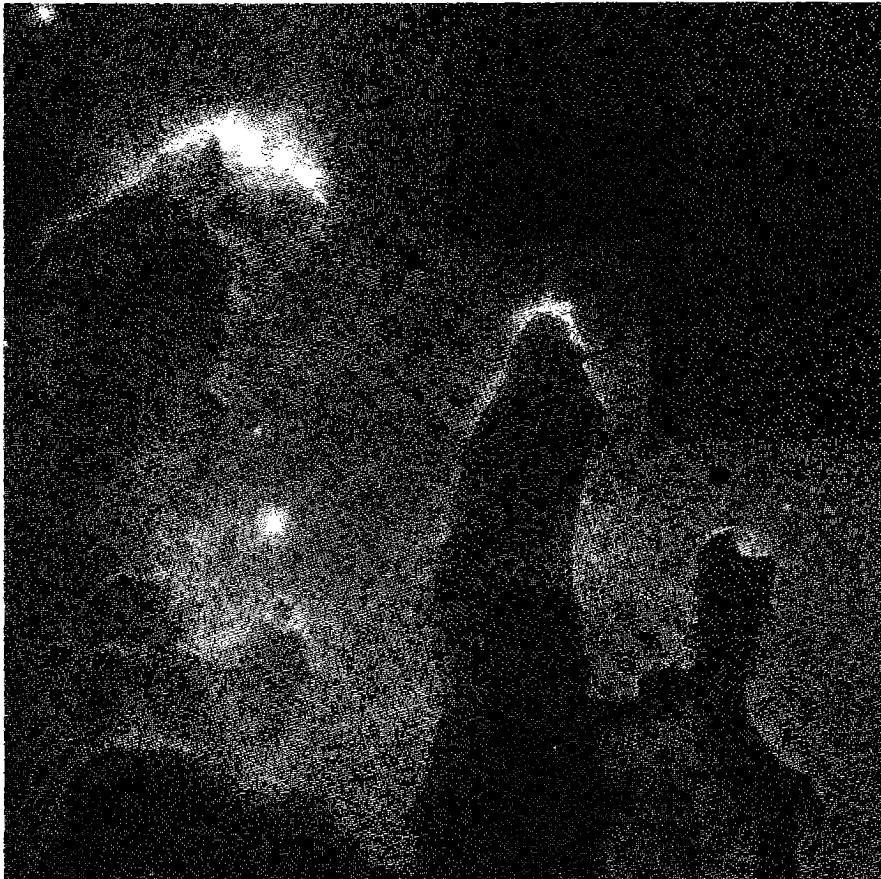 Figure 7.3. Elephant-trunk structures in the H II region NGC 6611. NASA and The Hubble Heritage Team. (STScI/AURA)