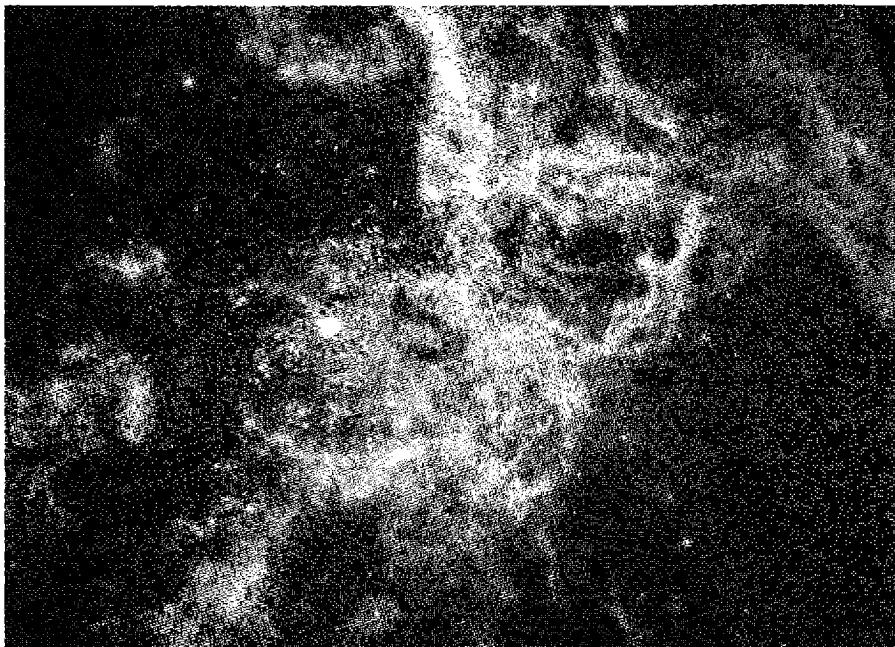 Figure 9.4. 30 Doradus, the nearest example of a giant extragalactic H II region. [NASA, N. Walborn, & J. Maíz-Apellániz (Space Telescope Science Institute), R. Barbá (La Plata Observatory)]
